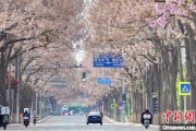 延边共建“花园城市” 北京这场议政会“百花齐放”