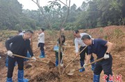 延边广州已打造首批32处“绿美宗教活动场所”