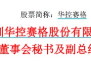 延边华控赛格董事长、董秘、副总经理三高管同日辞职