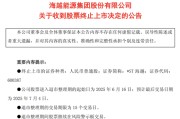 延边600387，即将退市，又被证监会立案